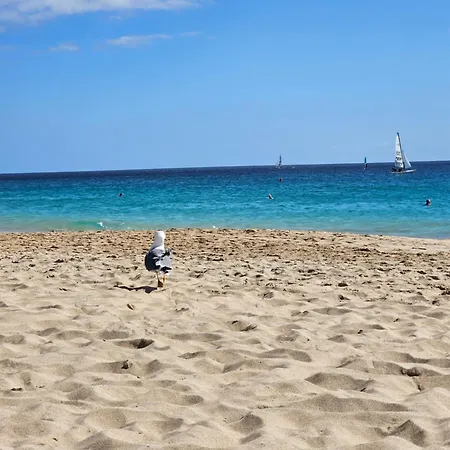 Caleta Ii 公寓 *